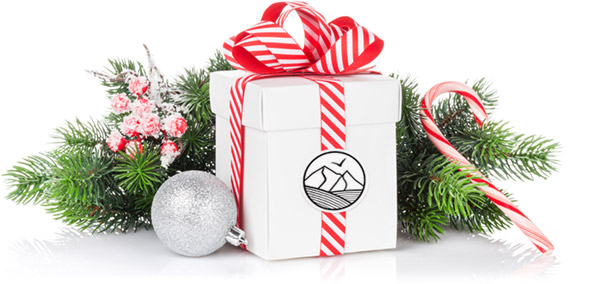 Mountain-Bird-Holiday-Box-002
